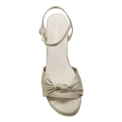 Rose Champagne 3
